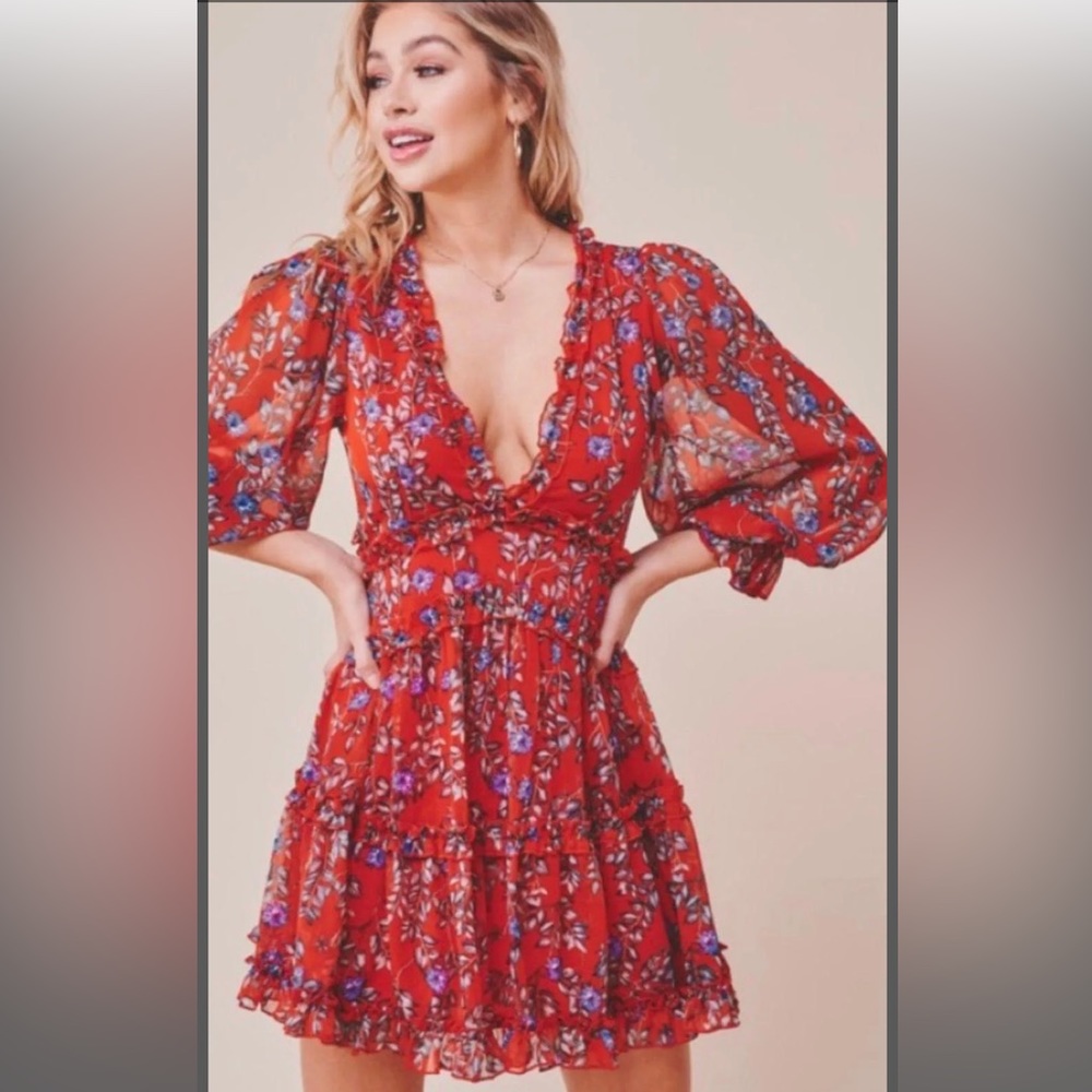 Saints and Secrets Mini Dress. Size small. Never worn with tags!